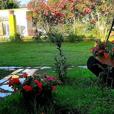 Kolonia E Artistave Apartamento Velipojë Exterior foto