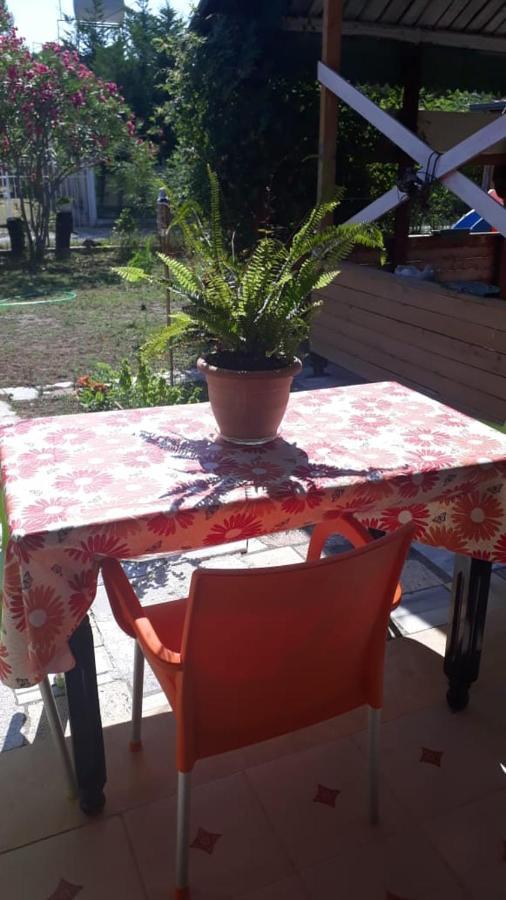 Kolonia E Artistave Apartamento Velipojë Exterior foto
