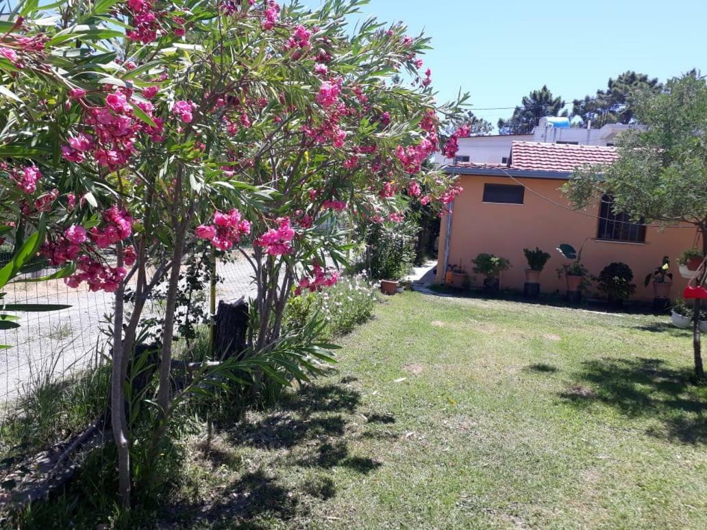 Kolonia E Artistave Apartamento Velipojë Exterior foto